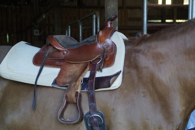 Comment protéger la peau sensible des chevaux  ?
